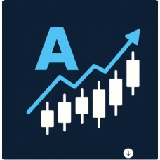 Advanced Course
