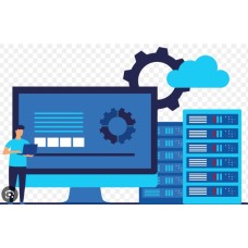 Support & Consulting